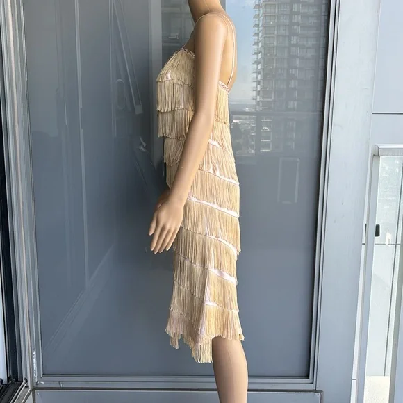 Vintage Fringe Flapper Girl Dress - Picture 5 of 14